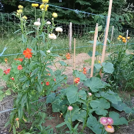 Grange Avec Piscine - La Hulotte Du Cluzel Сasa de vacaciones