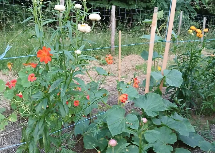 Grange Avec Piscine - La Hulotte Du Cluzel Ferienhaus